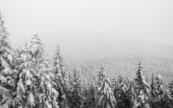 A severe blizzard has wreaked havoc across the western United States, accumulating over 10 feet of snow in some areas including California