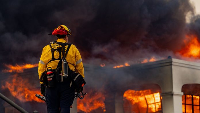 While investigations into the causes are still ongoing, officials have already launched recovery efforts and are working on long-term strategies to reduce the risk of future wildfires