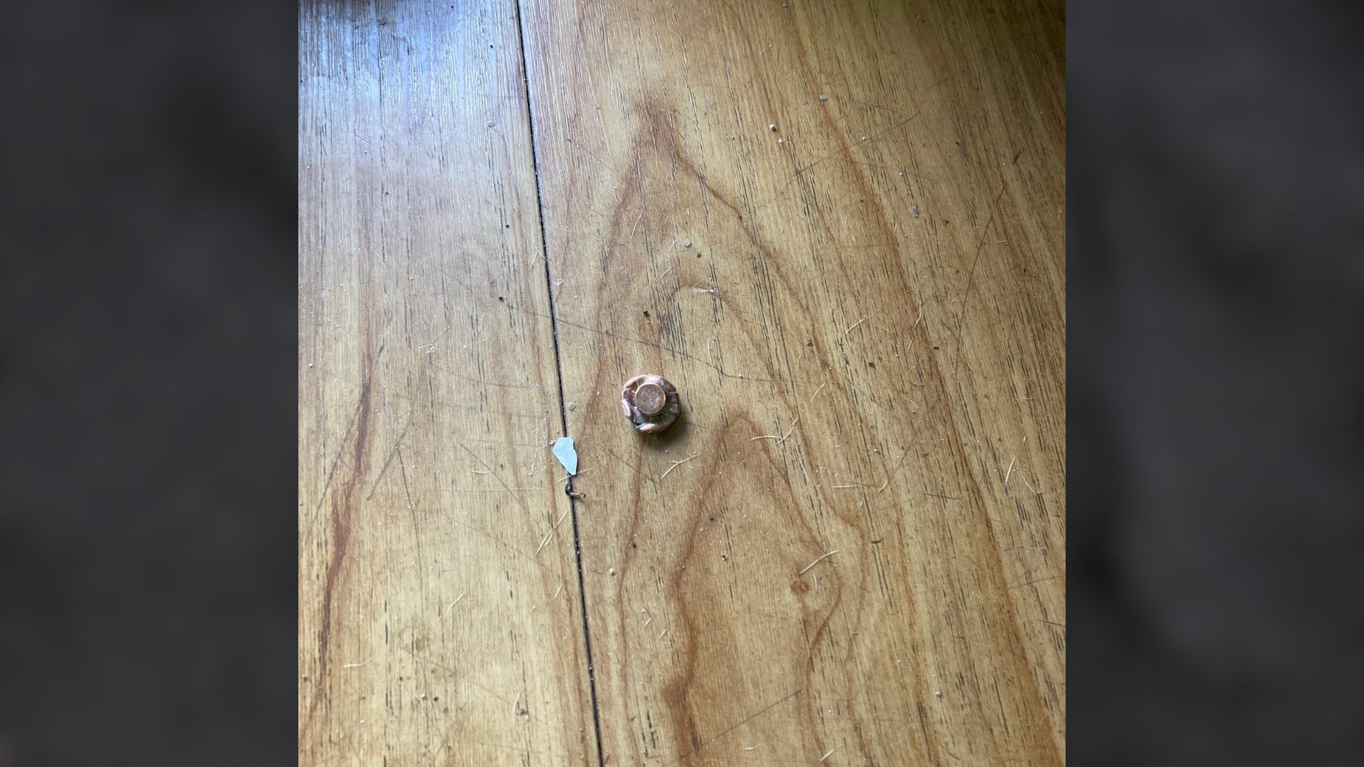 On Friday, Rancho Cordova PD responded to a local motel after hearing a gunshot from inside a room, case resolved without incident