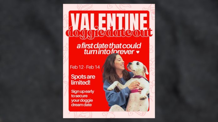 This year, the Front Street Animal Shelter is doing something new for Valentine's Day. From February 12 to 14, they are holding a unique 