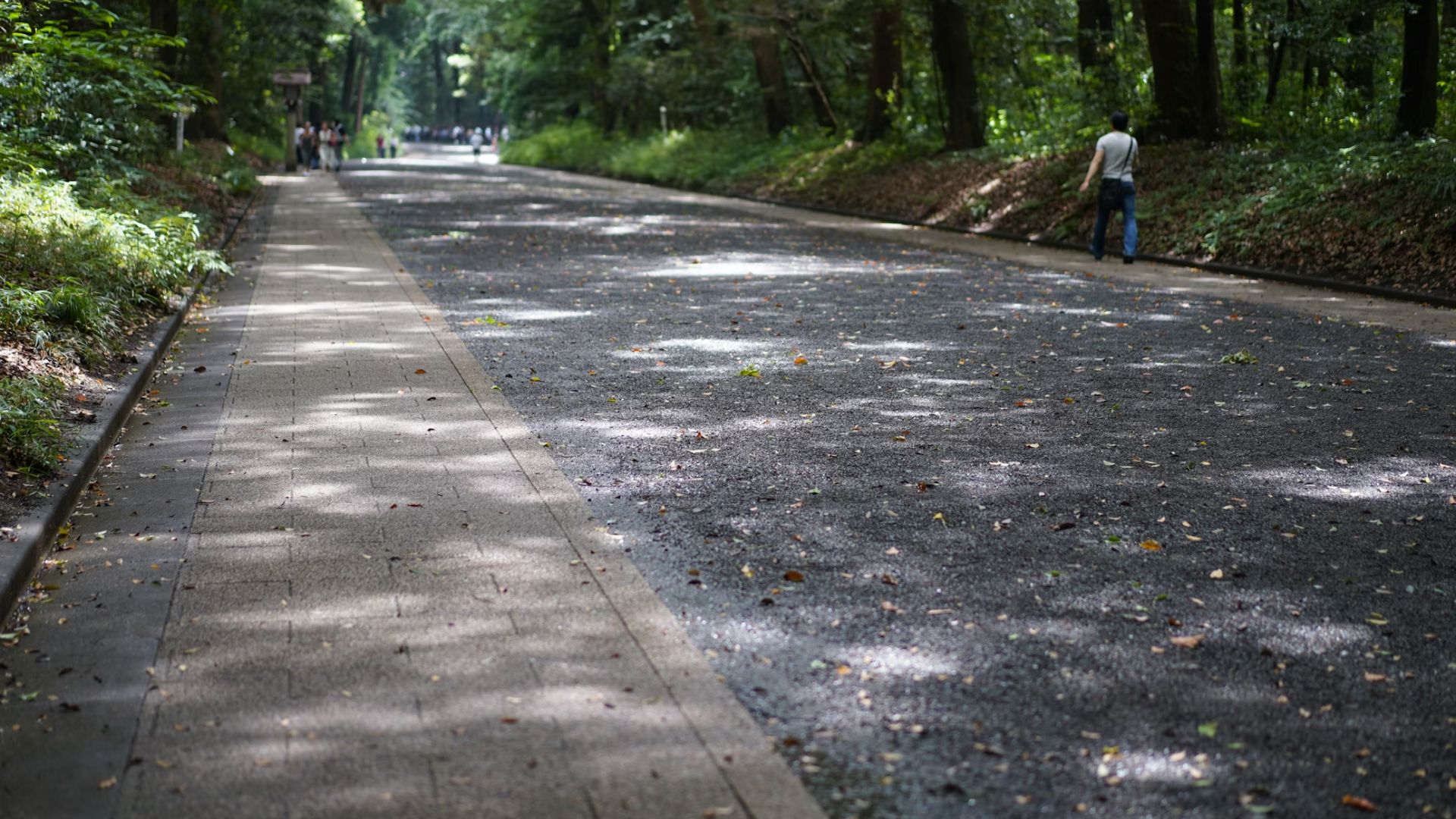 City and County officials in Sacramento recently joined forces with specialists from the Urban Land Institute to examine new ways of shielding residents from the growing threat of extreme heat