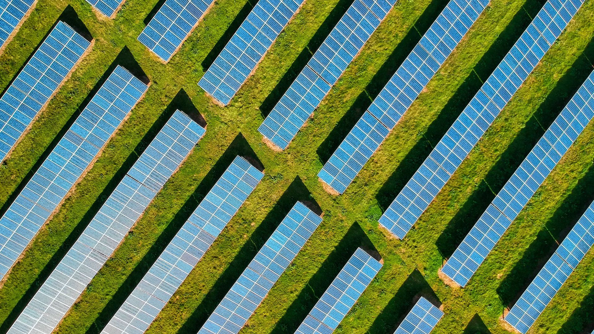 California’s long-running effort to cut climate pollution while directing money back into communities entered a new phase on May 29