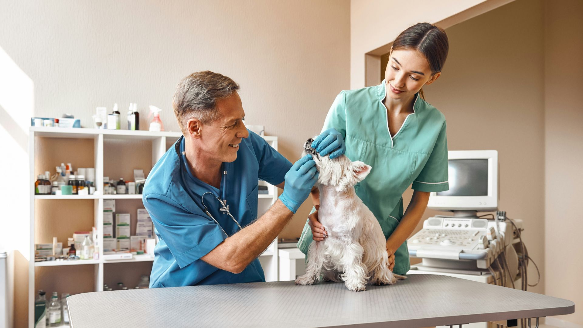 A routine trip for a vaccine can do more than protect a pet from illness. In Sacramento, it can also help keep a dog or cat from ever becoming separated from the family that loves it — or, when separation happens, make the path home much shorter.