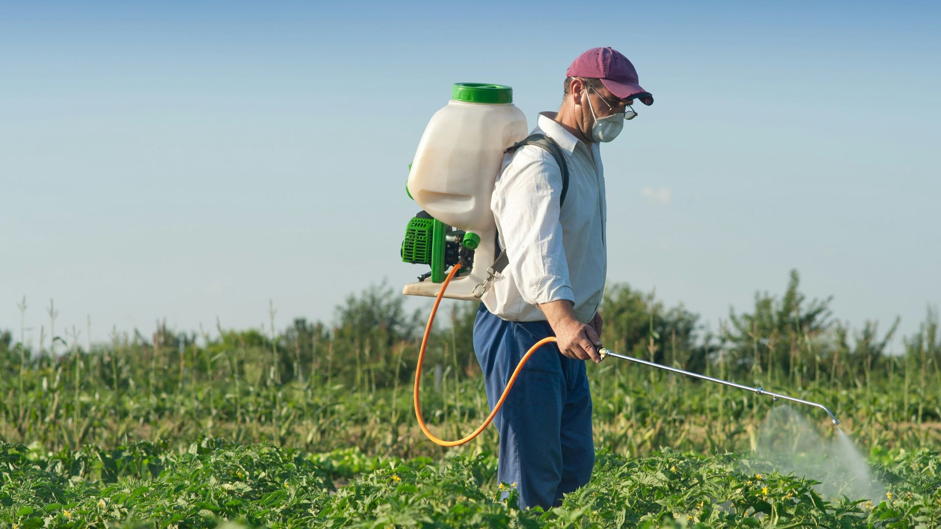 For millions of Californians, the concern over “forever chemicals” may no longer be limited to drinking water or household products. A new analysis says pesticides containing per- and polyfluoroalkyl substances, known as PFAS, are being detected in waterways and sediment across some of the state’s major agricultural regions