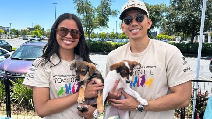 Sacramento pet owners are being urged to take extra care as rising temperatures turn ordinary routines into real risks for animals.