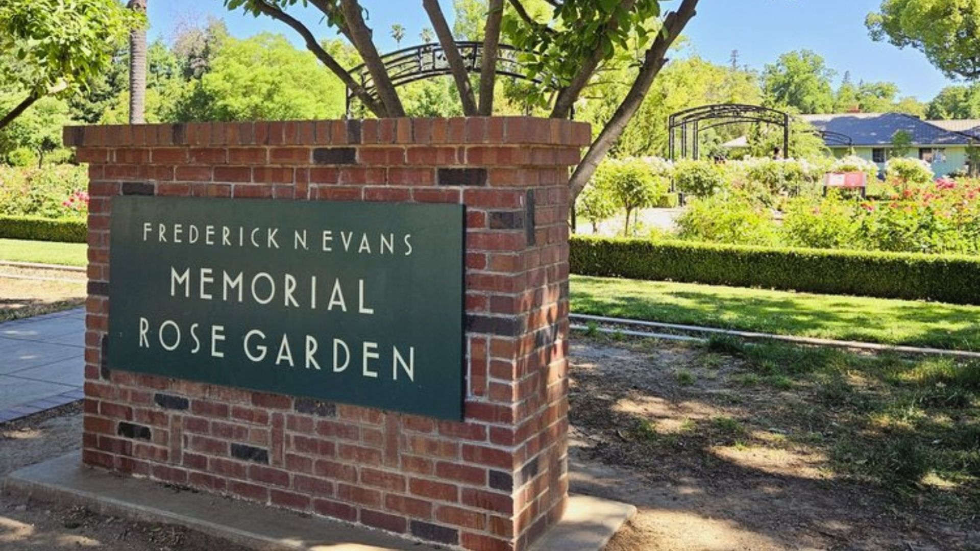 Sacramento’s largest public rose garden will need a few extra hands on Saturday, June 27, as the city invites residents to spend the morning caring for one of McKinley Park’s most colorful landmarks.