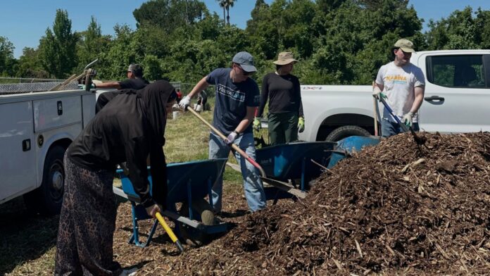 A small stretch of Sacramento’s Natomas community is set to get a little greener, and residents are being invited to help make it happen.