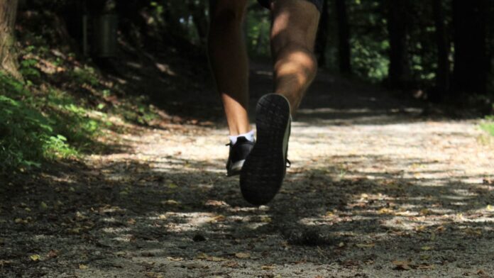 Sacramento County is giving families a reason to trade screens for sunshine on Saturday, June 14, as Family Health & Fitness Day brings a full slate of outdoor activities to parks across the region.