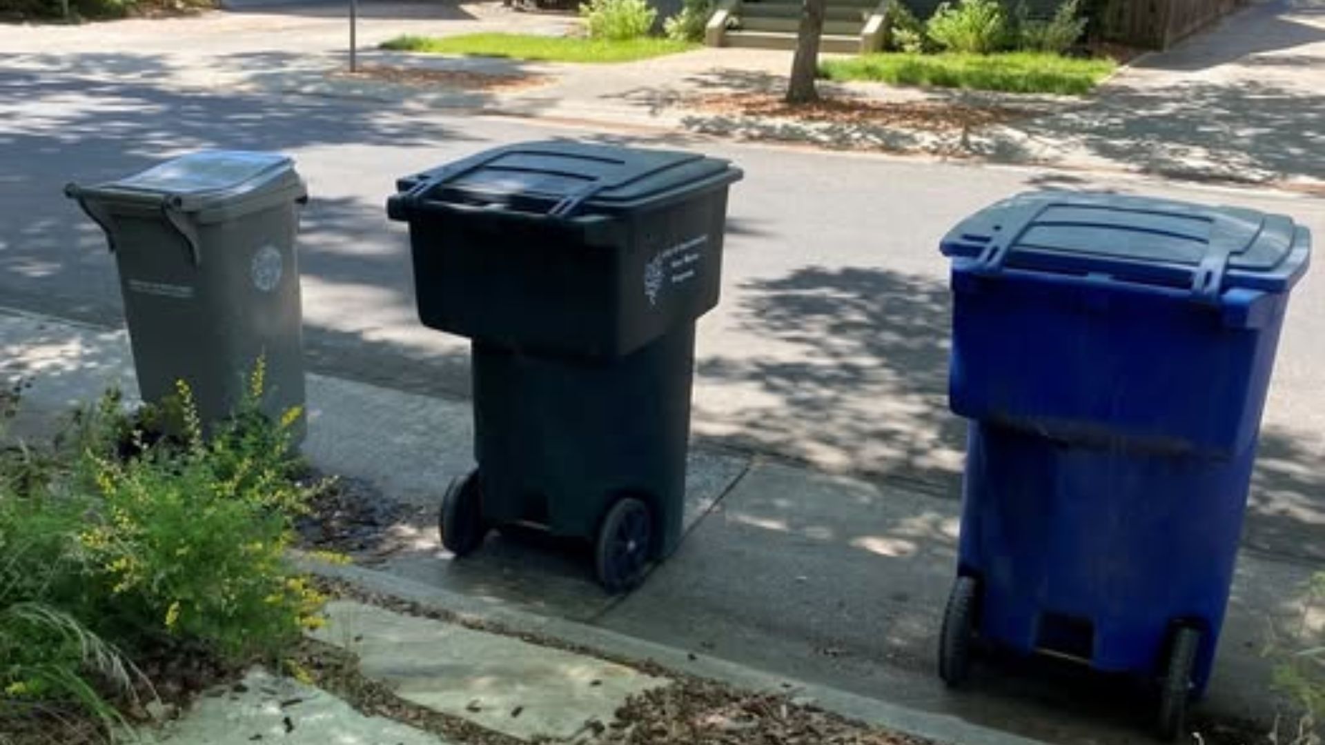 A quick lift of a garbage lid could soon reveal whether Sacramento residents are putting waste in the right place. This July, city workers will inspect selected curbside containers—not to search through anyone’s trash, but to see how well households are separating garbage, recycling and organic material.