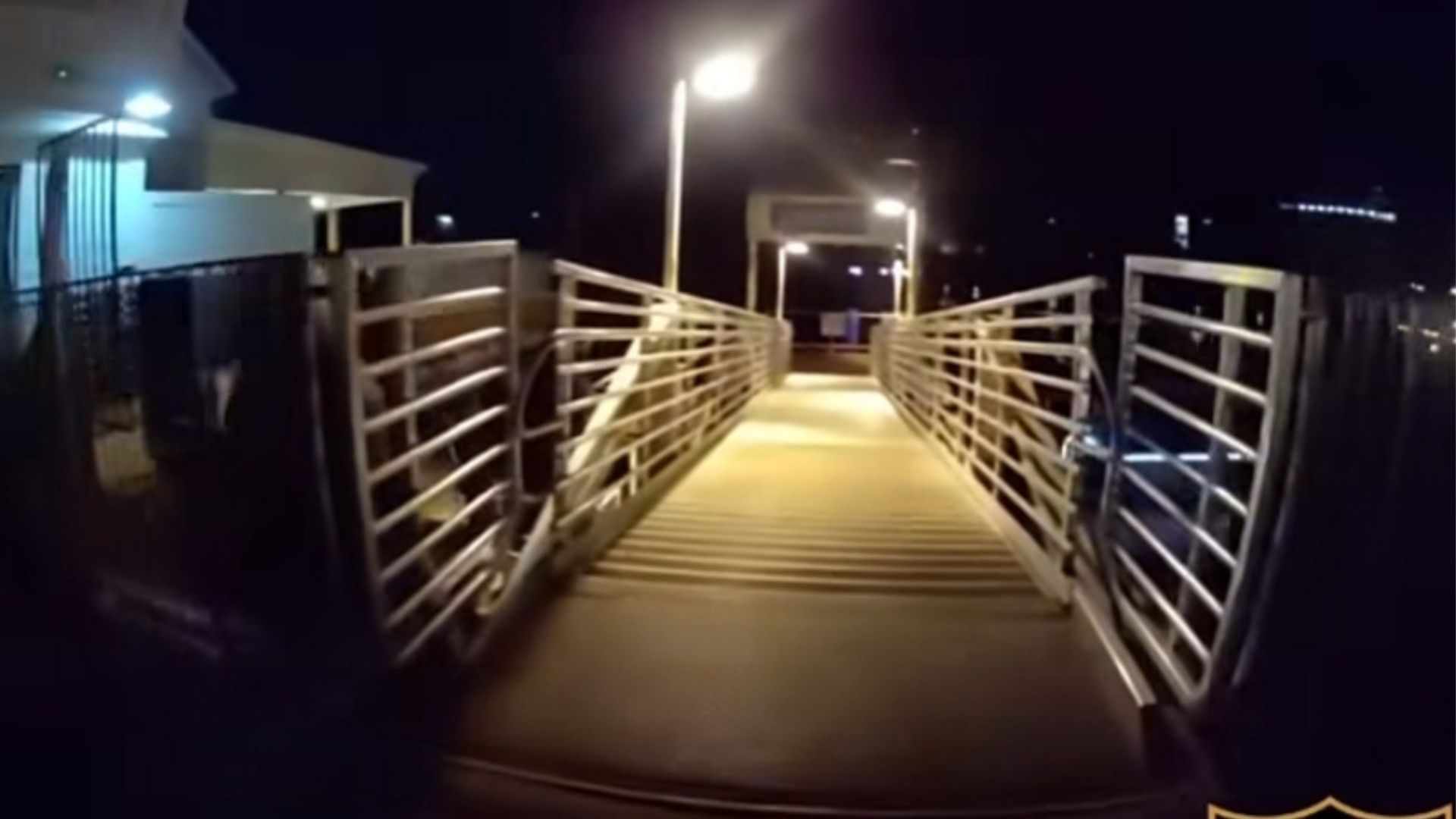 A live camera feed gave Sacramento police a clearer view, helping several specialized teams locate the group, organize their approach and detain those involved without the situation escalating.