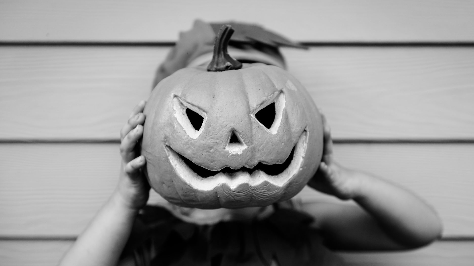 The Trunk-or-Treat & Autumn Festival will take over North Natomas Regional Park on Saturday, Oct. 24, giving families a free afternoon of costumes, games and seasonal activities from 11 a.m. to 2 p.m.