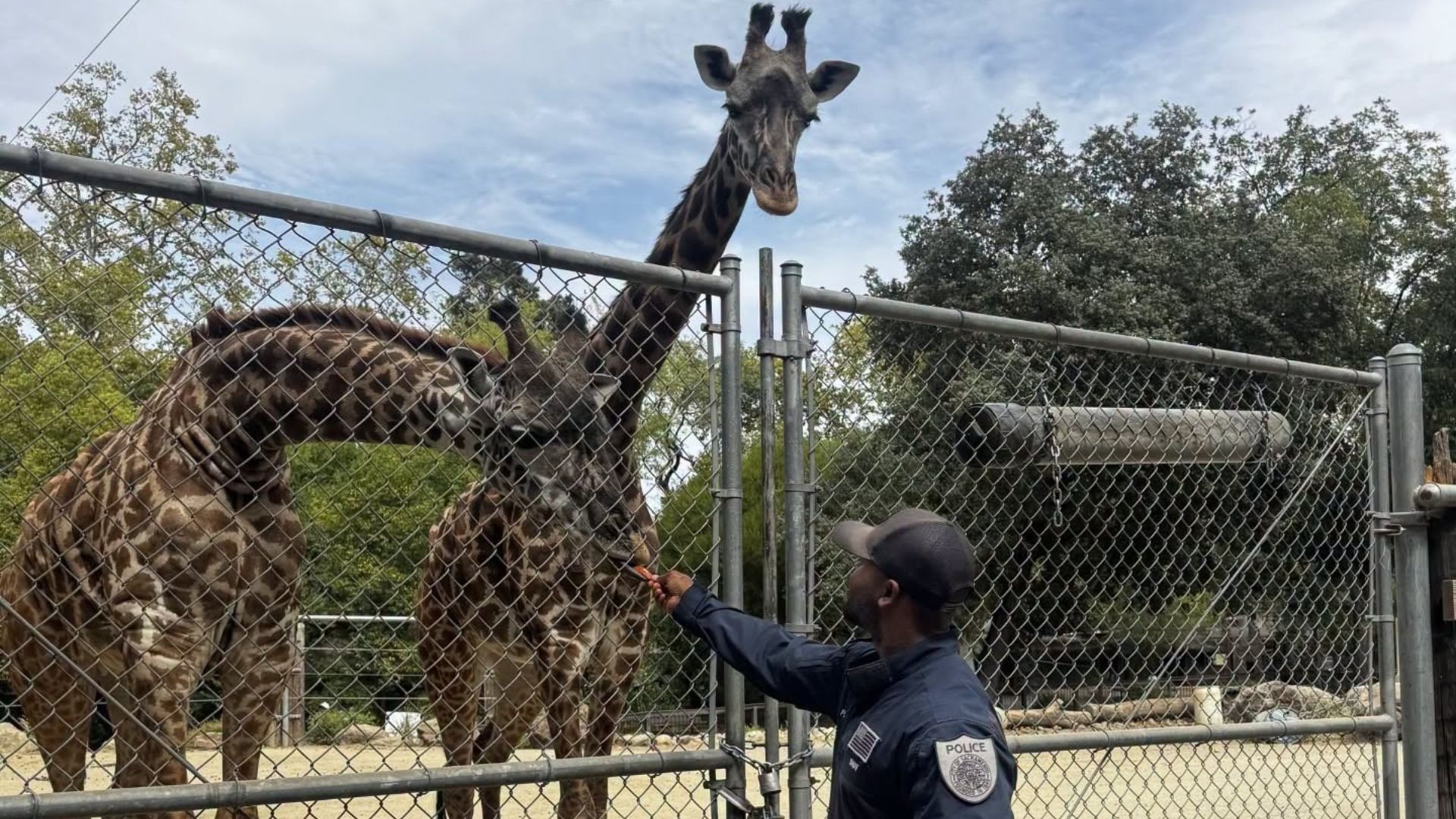 Members of the Sacramento Police Department’s SWAT Team visited the zoo to provide an active shooter presentation, giving employees practical guidance on how to recognize potential threats and respond if violence were to occur.