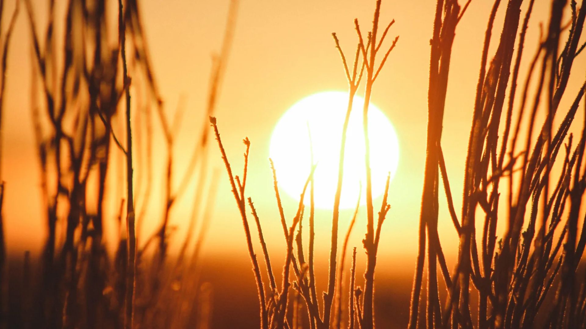 The extension affects two city-operated sites, while Sacramento Regional Transit is also continuing free transportation to activated weather respite centers through the end of the current heat response.