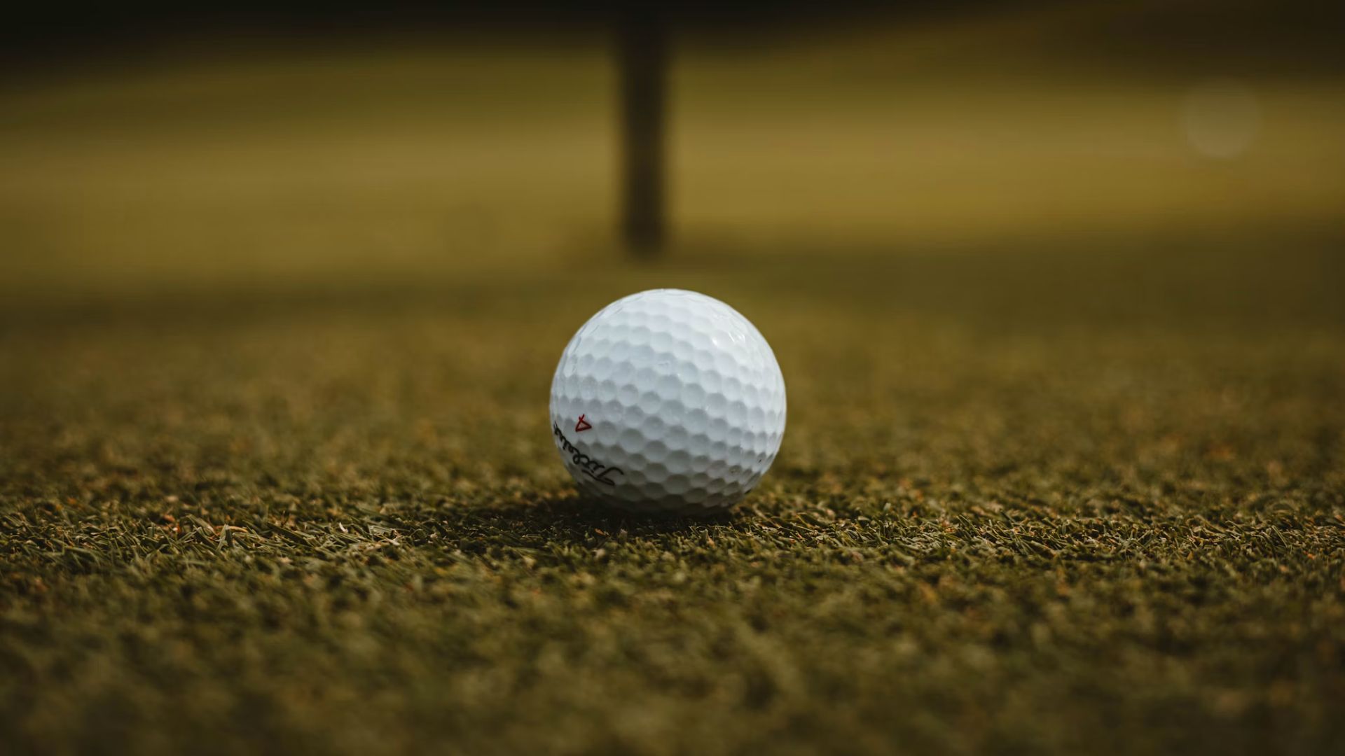 The tournament is scheduled for Wednesday, October 21, at Wildhorse Golf Club, with play beginning at 9 a.m. The event brings together local businesses, organizations and golfers for a day on the course while offering several ways for companies to put their names in front of participants.