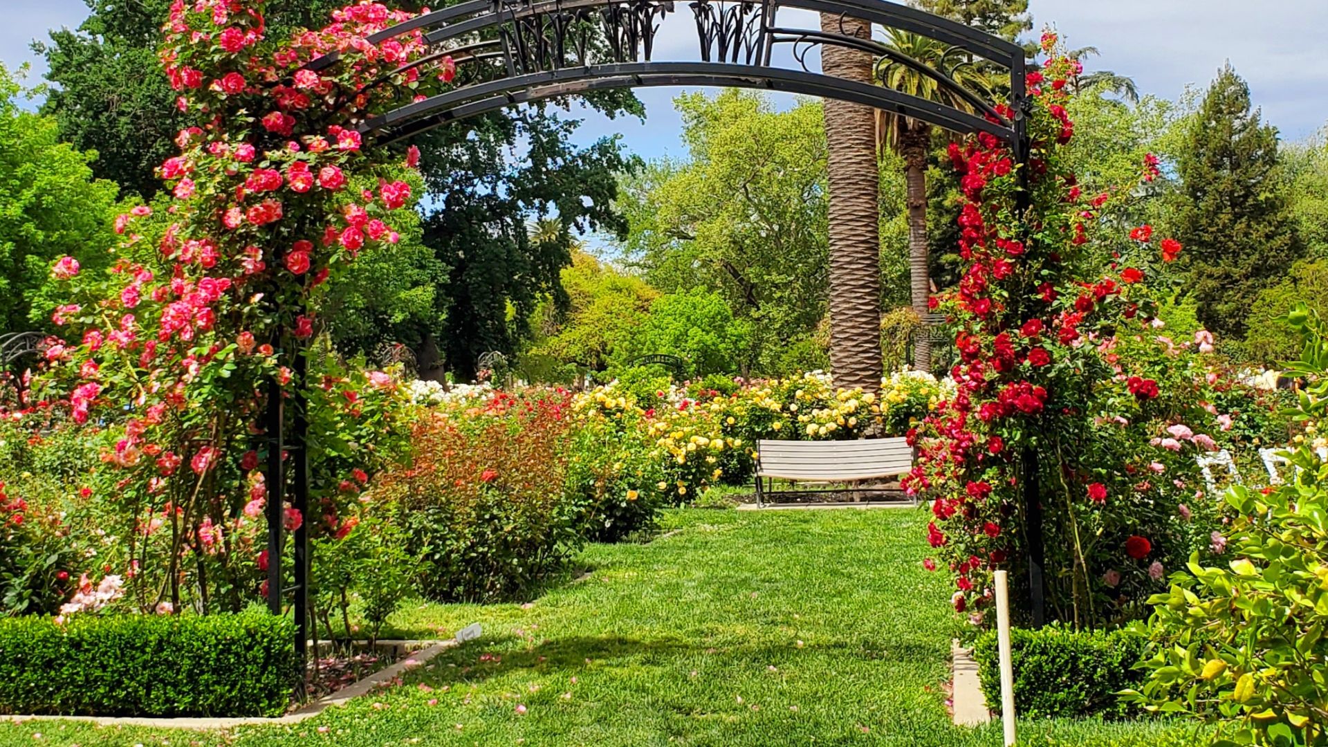 Sacramento County is giving park visitors an opportunity to turn their outdoor experiences into something more lasting. One photograph will earn its creator a free Annual Parks Pass and a place on the pass placard.